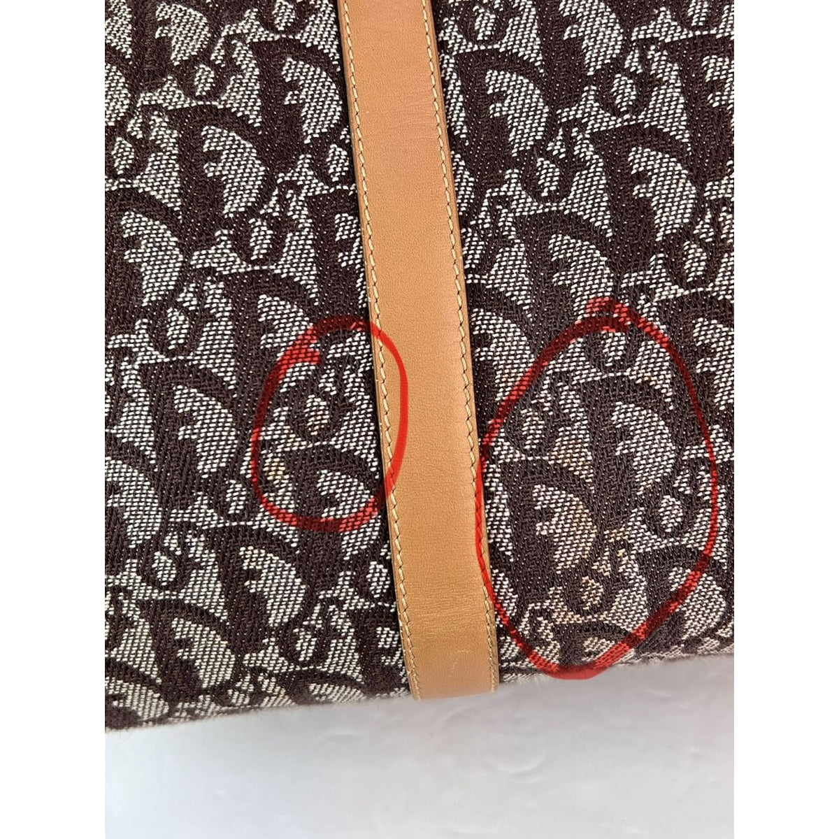 Christian Dior Medium Canvas Handbag
