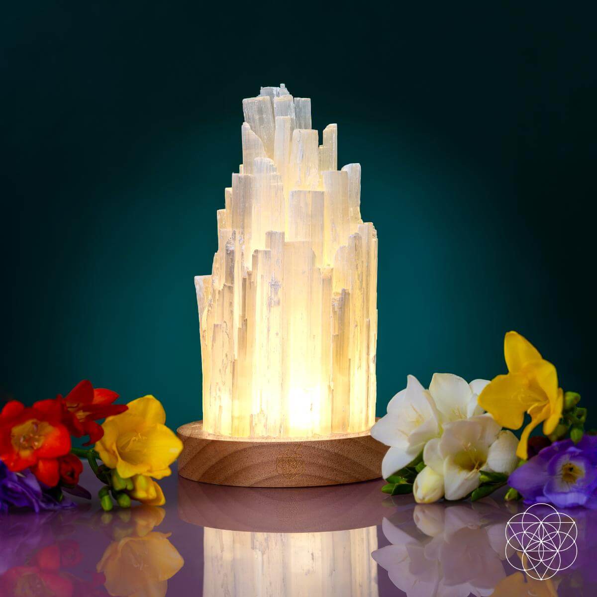 Black Friday Special: Peace & Purification Duo