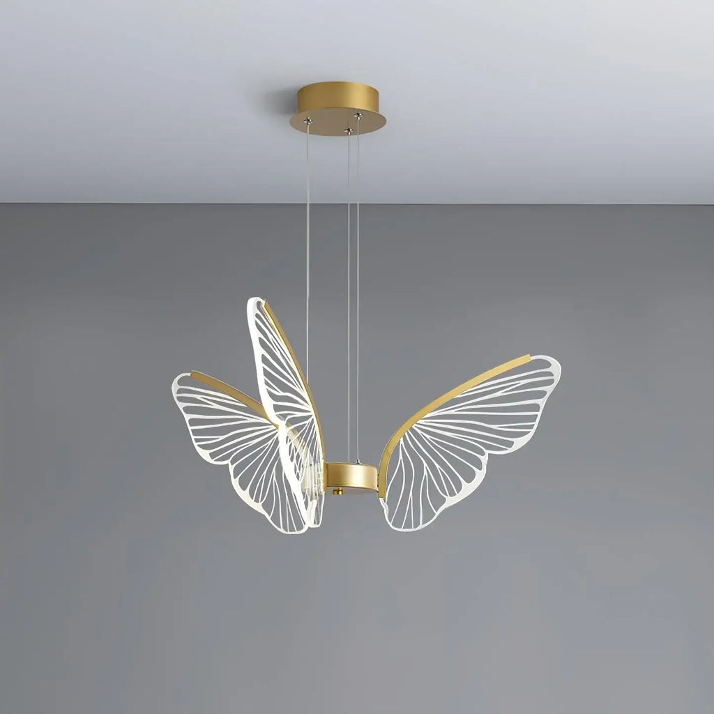 Phalaenopsis Chandelier