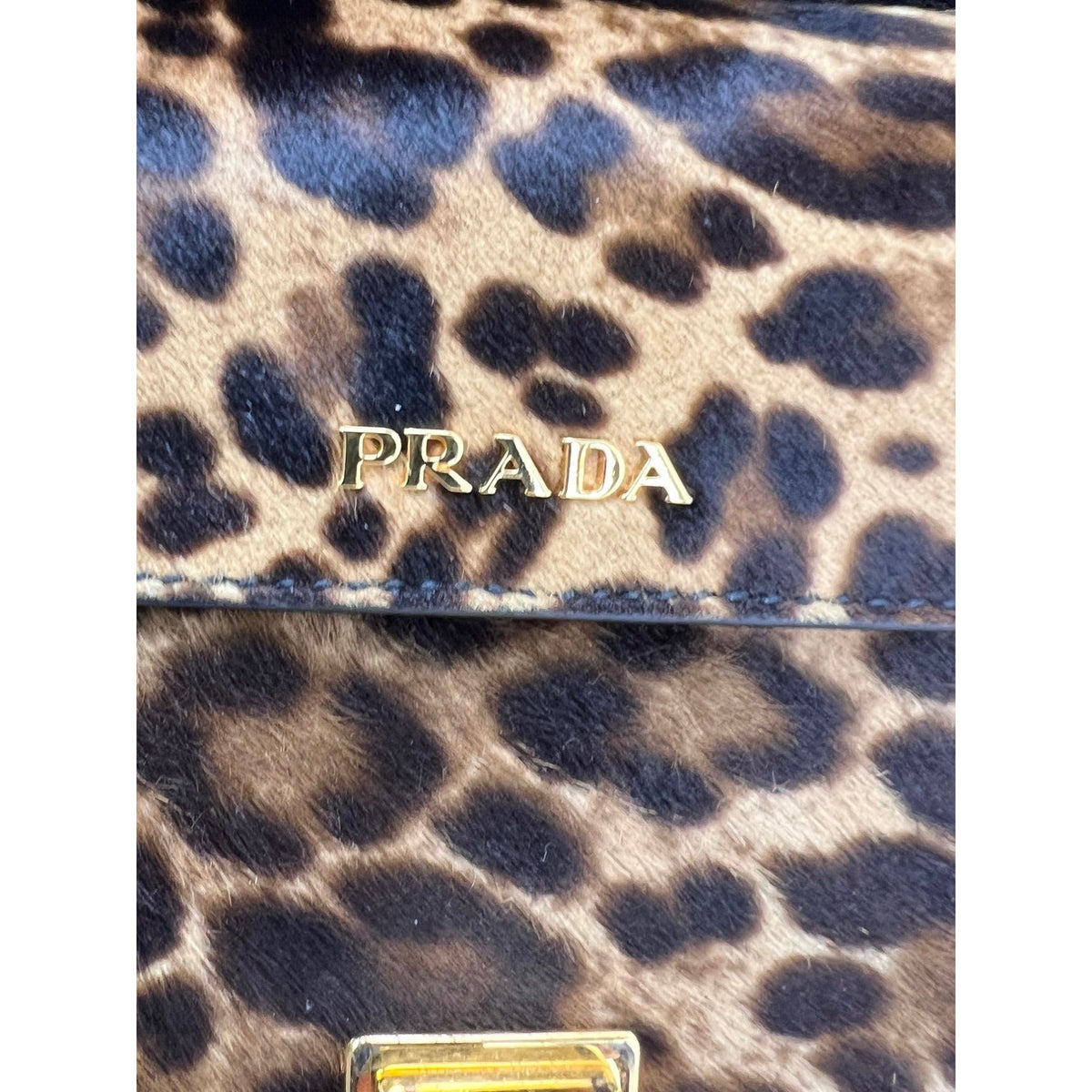 Prada Leopard Print Shoulder Bag