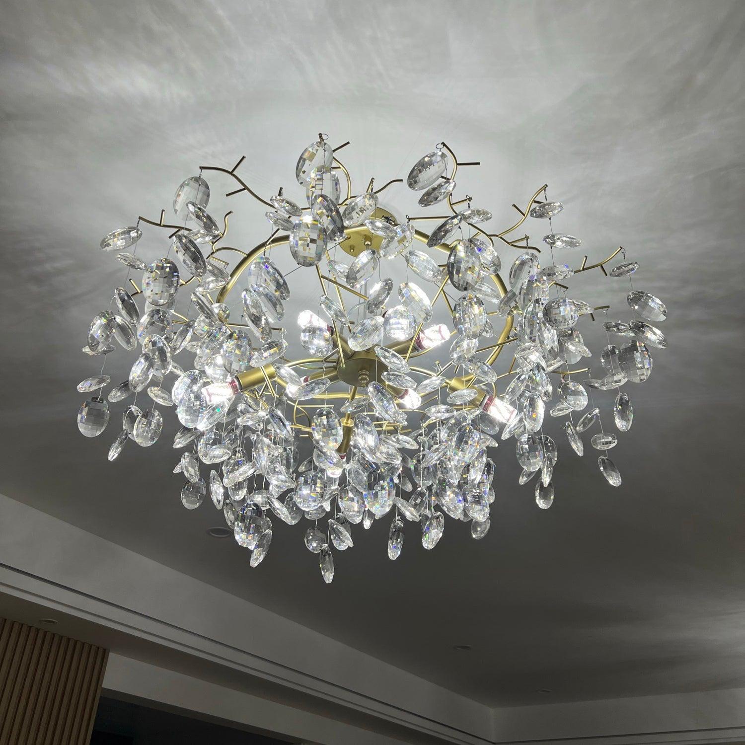 Enchanting Chandelier